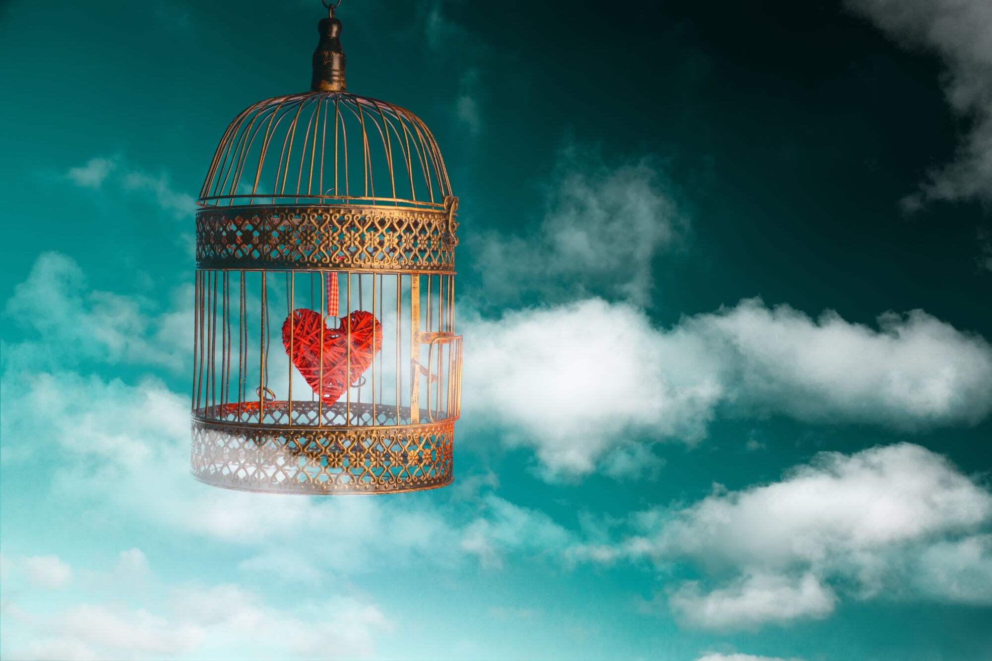 Varmistelusta vapauteen – hellitä kontrollista verkkoluento 28.11.