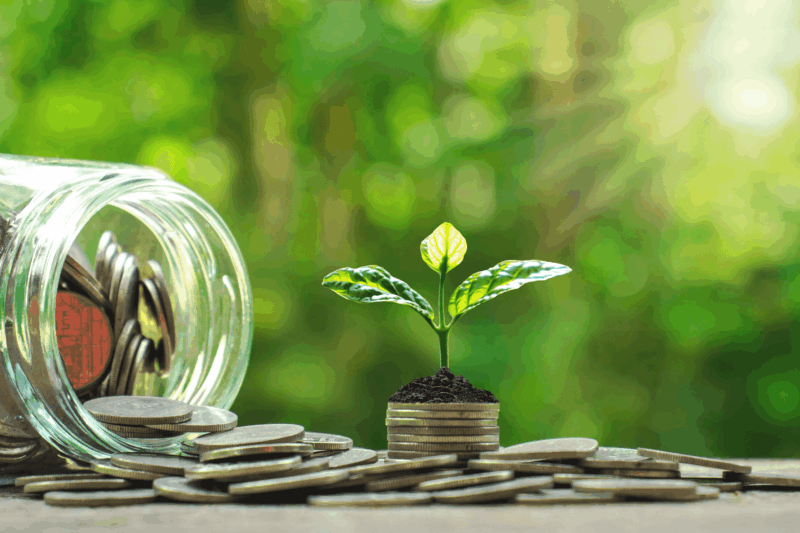 Lasipurkki, josta valuu kolikoita. Kolikoiden päällä kasvin taimi. Taustalla paistaa aurinko.